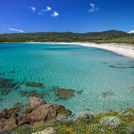 F3 - Standing Centre Calme Et Climatise