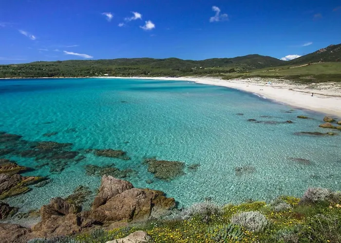 F3 - Standing Centre Calme Et Climatise